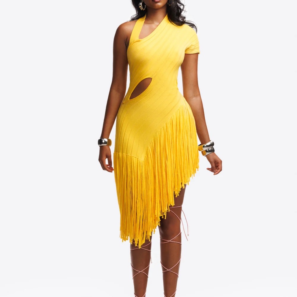 Hanifa Lea Knit Fringe Dress
